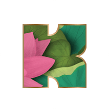 Kapiva logo